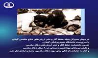 ویدئو نوشت - اعلام آمادگی دانشگاه علوم پزشکی گیلان برای حفظ ارزشها و جمع آوری آثار رزمندگان در موزه دفاع مقدس