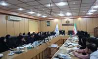 برگزاری وبینار آموزشی مهندسی مشاغل در معاونت توسعه مدیریت، منابع و برنامه‌ریزی دانشگاه