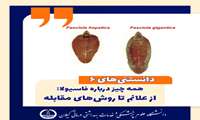 فاسیولیازیس؛ بیماری انگلی شایع در گیلان، نیازمند توجه ویژه