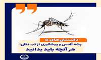 پشه آاِدس و پیشگیری از تب دنگی : هر آنچه باید بدانید