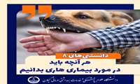 هر آنچه باید در مورد بیماری هاری بدانیم