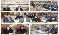 برگزاری کارگروه تخصصی شورای سلامت و امنیت با محوریت تغذیه سالم در شهرستان تالش