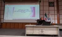کارگاه آموزشی مشورتی ویژه کارشناسان تغذیه شهرستان‌ها برگزار شد