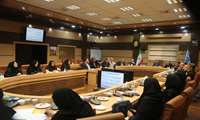 نشست پیشگیری و مقابله با سقط عمدی جنین گیلان