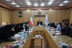 برگزاری دومین جلسه کمیته نقل و انتقالات سال ۱۴۰۴ کارکنان دانشگاه