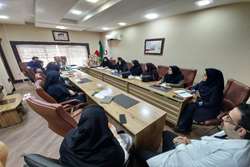 برگزاری کارگروه تخصصی مرگ و میر مادر باردار در مرکز آموزشی و درمانی حشمت