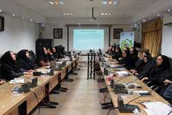کارگاه آموزشی تحلیل شاخص‌های سلامت مادران در سامانه یکپارچه بهداشت