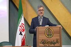 دانش؛ عبادتی عارفانه و خدمتی الهی است