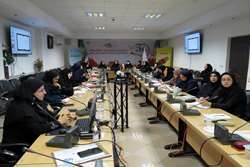 برگزاری کارگاه آموزشی بررسی شاخص‌های سلامت کودکان و انتظارات برنامه در سال ۱۴۰۴