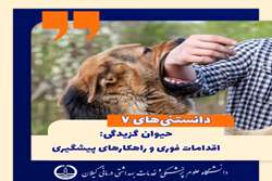 هاری = مرگ؛ توصیه‌های دانشگاه علوم پزشکی گیلان برای پیشگیری و اقدامات پس از حیوان گزیدگی