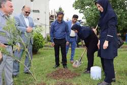 گرامیداشت هفته ملی جمعیت در مرکز آموزشی و درمانی شفا رشت