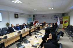 کمیته اجرایی پویش اطلاع‌رسانی بیماری ایدز تشکیل شد