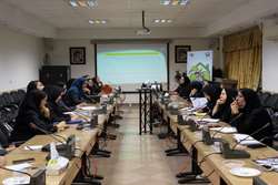 کارگاه یک روزه‌ی برنامه ارتقای فرهنگ سلامت و سبک زندگی سالم برگزار شد