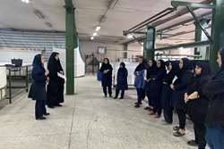 برگزاری کلاس آموزشی پویش ملی پیشگیری و تشخیص زودهنگام سرطان پستان ویژه کارگران شرکت مهتاب بافت در شهرستان شفت