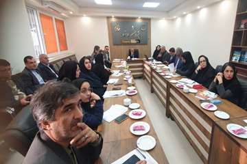 برگزاری سومین جلسه کارگروه تدوین برنامه راهبردی سازمان‌های مردم‌نهاد حوزه سلامت