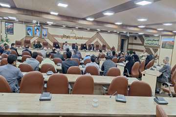 کارگروه شورای سلامت و امنیت غذایی 