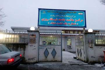 بازدید در عصر روز برفی
