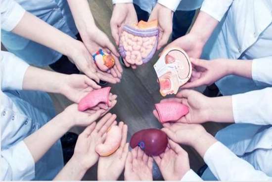 اهدای عضو اهدای زندگی  