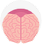 Caspian Journal of Neurological Sciences