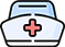 Journal of Holistic Nursing and Midwifery